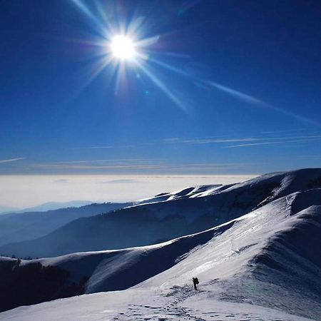 Sadyba Domashniy Zatyshok Pilipets Esterno foto
