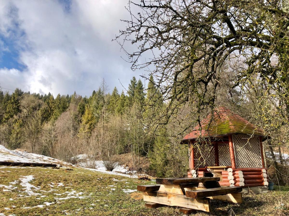 Sadyba Domashniy Zatyshok Pilipets Esterno foto