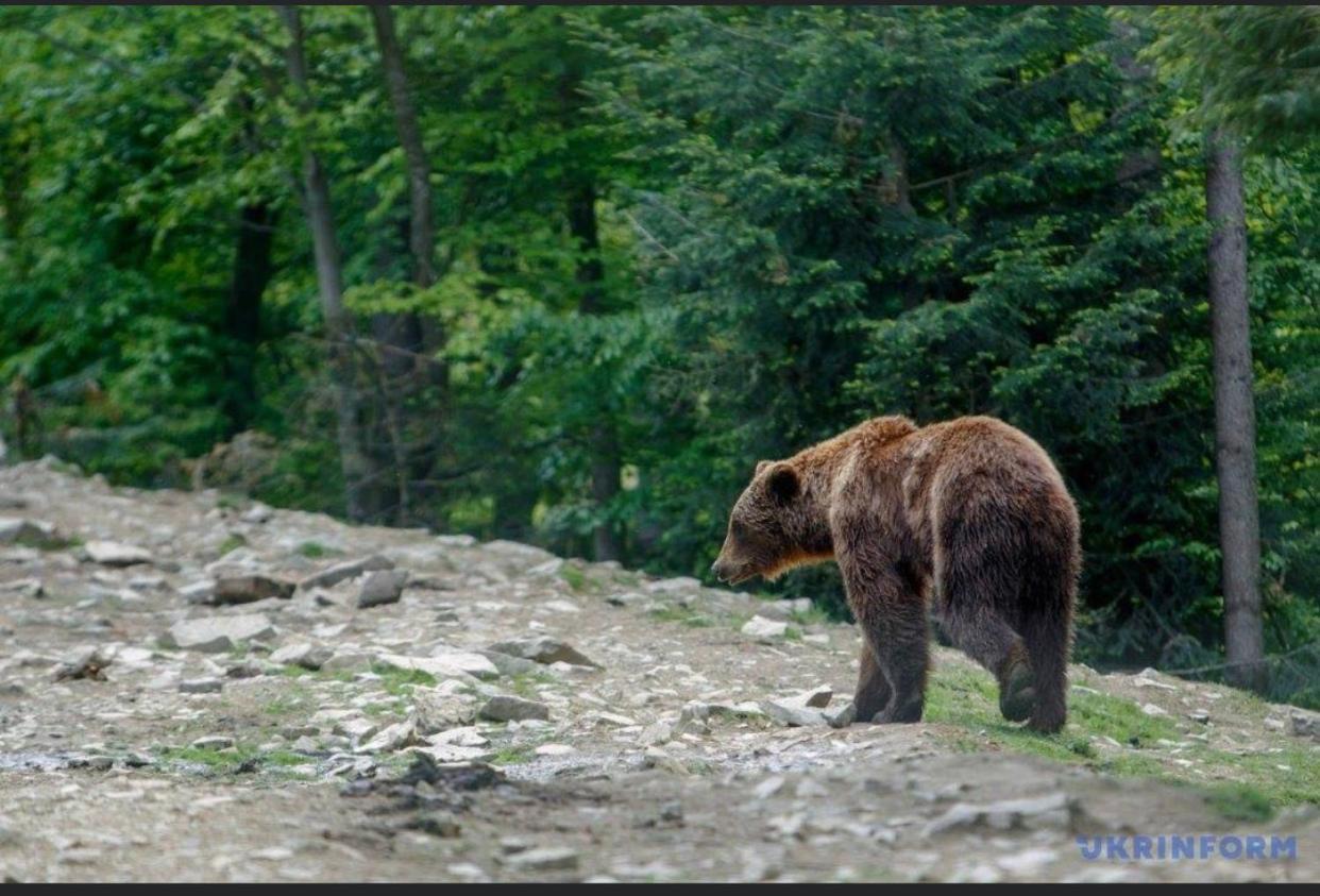 Sadyba Domashniy Zatyshok Pilipets Esterno foto