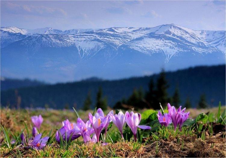 Sadyba Domashniy Zatyshok Pilipets Esterno foto