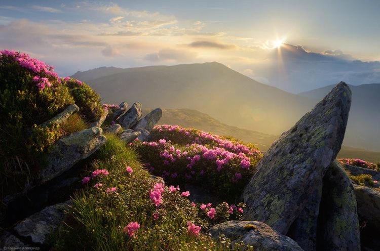 Sadyba Domashniy Zatyshok Pilipets Esterno foto